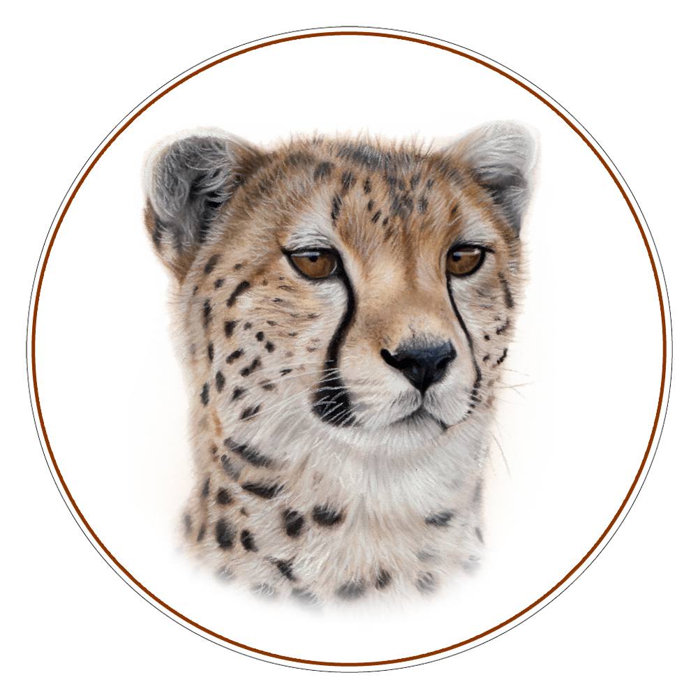 African Cheetah Illustration