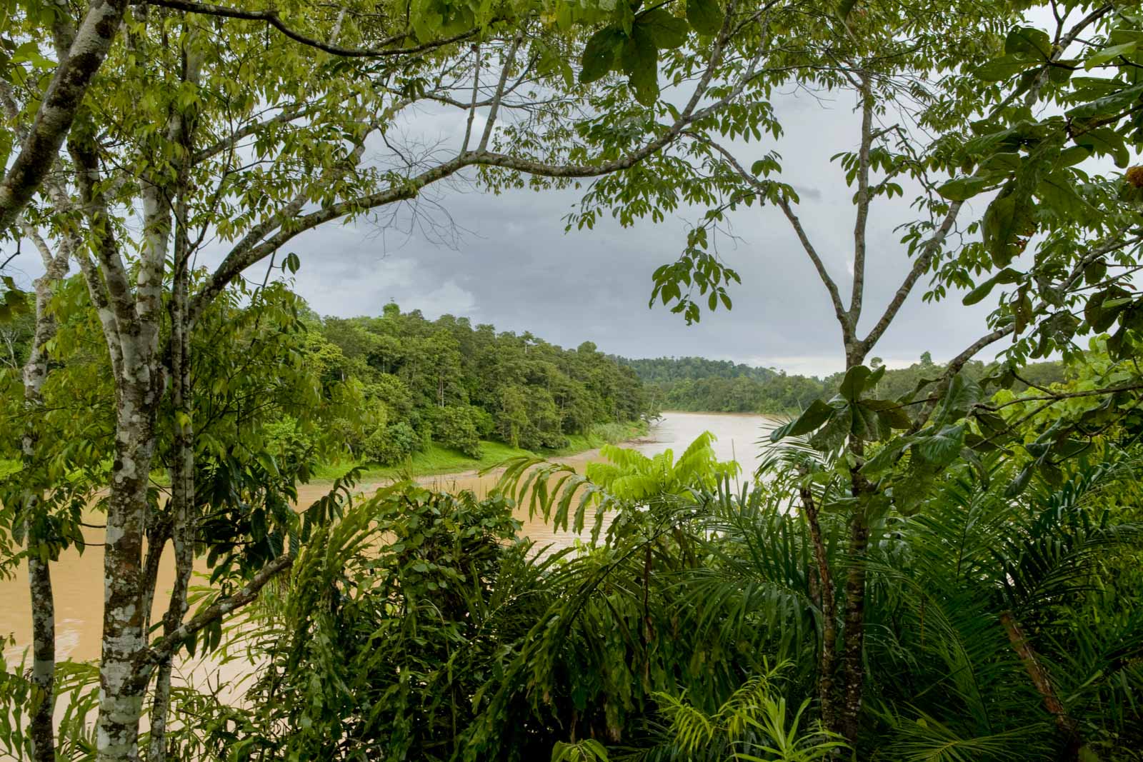 Kinabatangan River in Borneo
