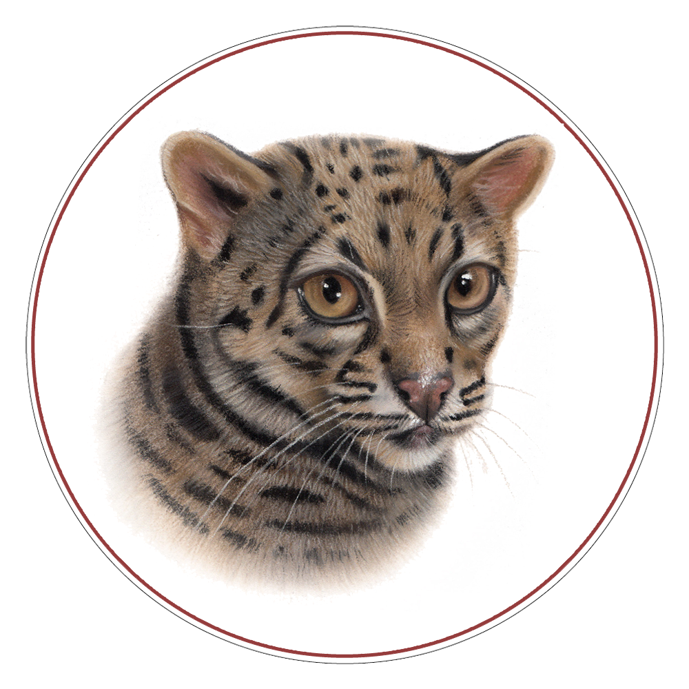 Marbled Cat Icon