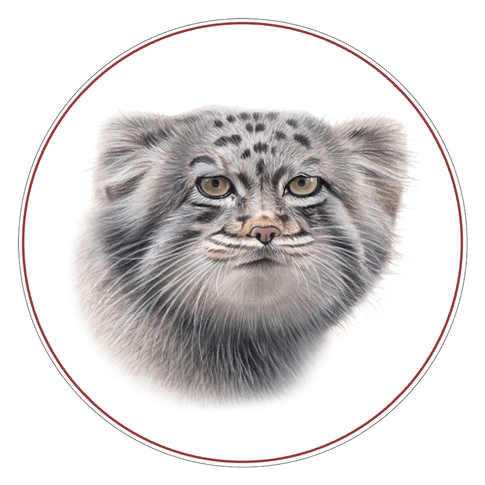 Sunda Clouded Leopard Illustration