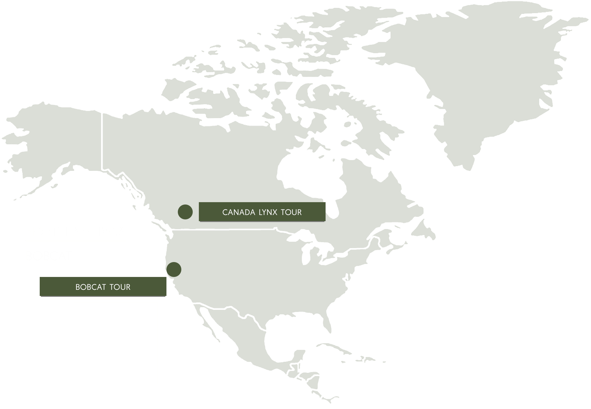 Cat Expeditions in North America