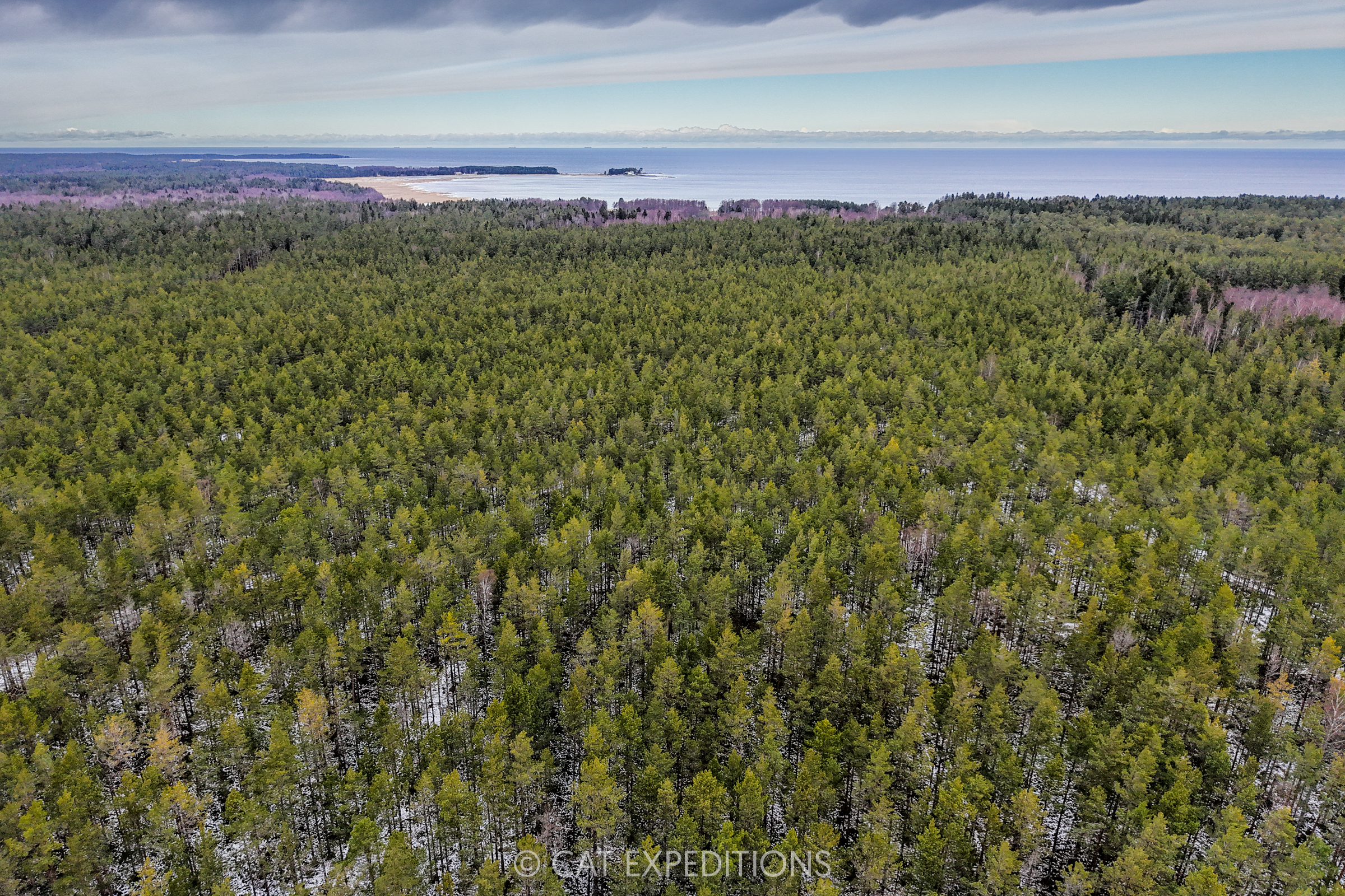 Boreal forests along Baltic Sea, Estonia