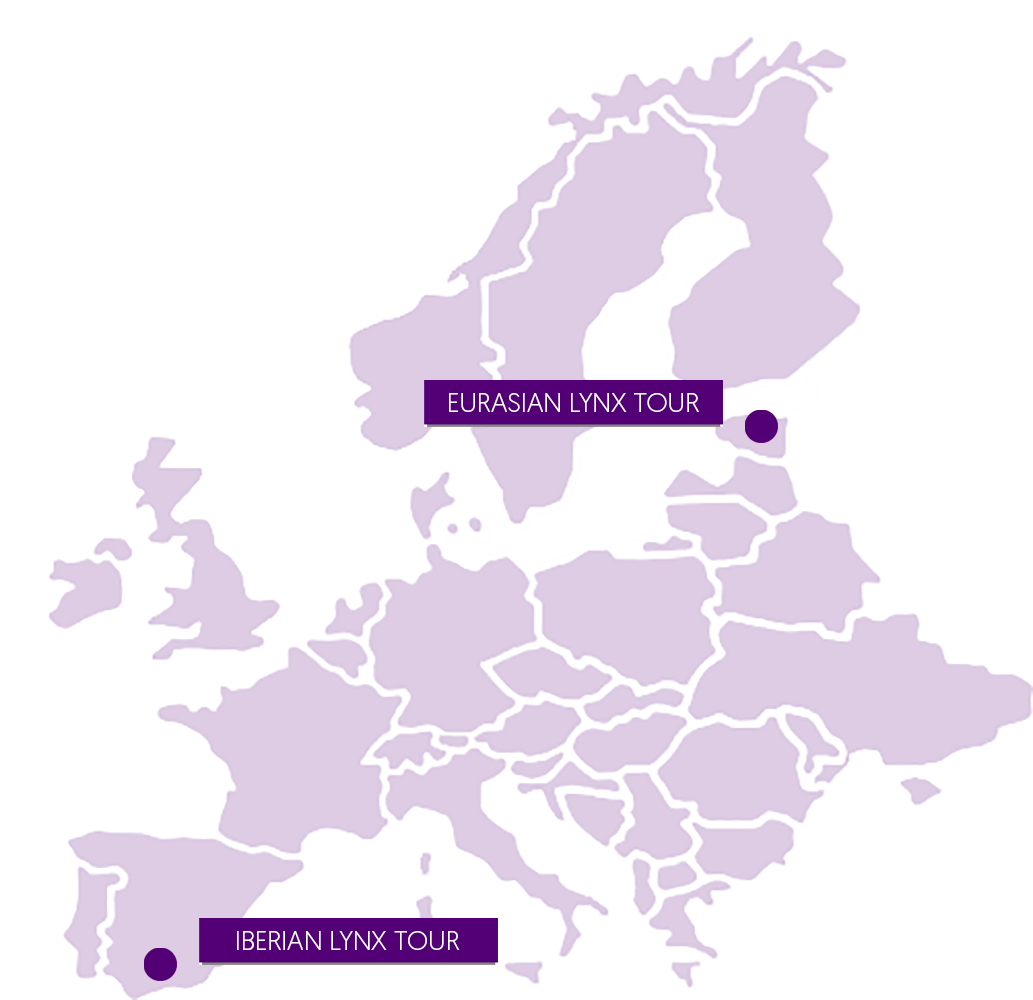 Europe Cat Expeditions