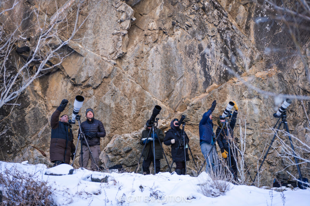 We are watching a snow leopard up the mountain during our 2025 snow leopards of Mongolia photo tour