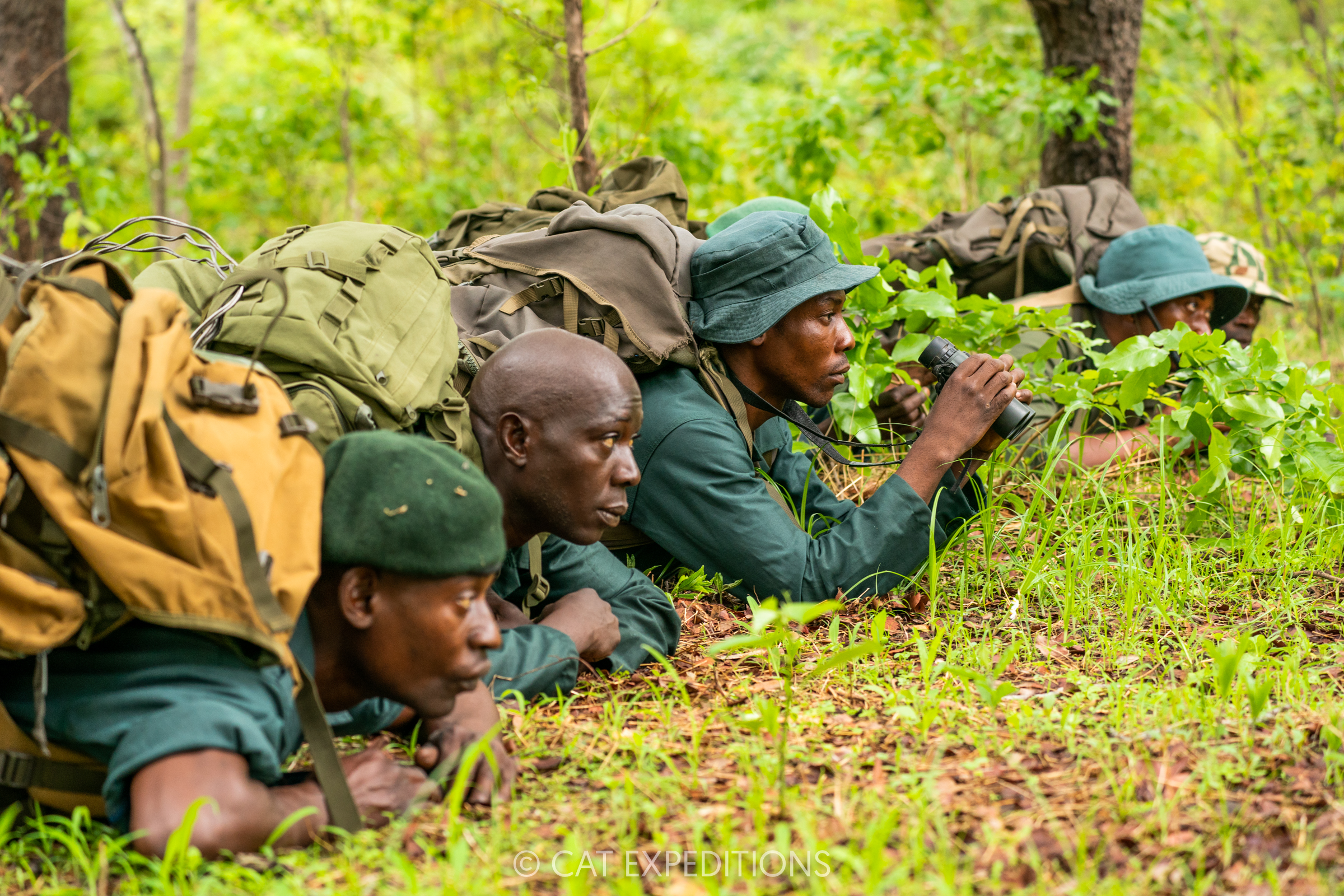 Featured image for “2025 Giving Recap: The Conservation Work Your Travels Supported This Year”