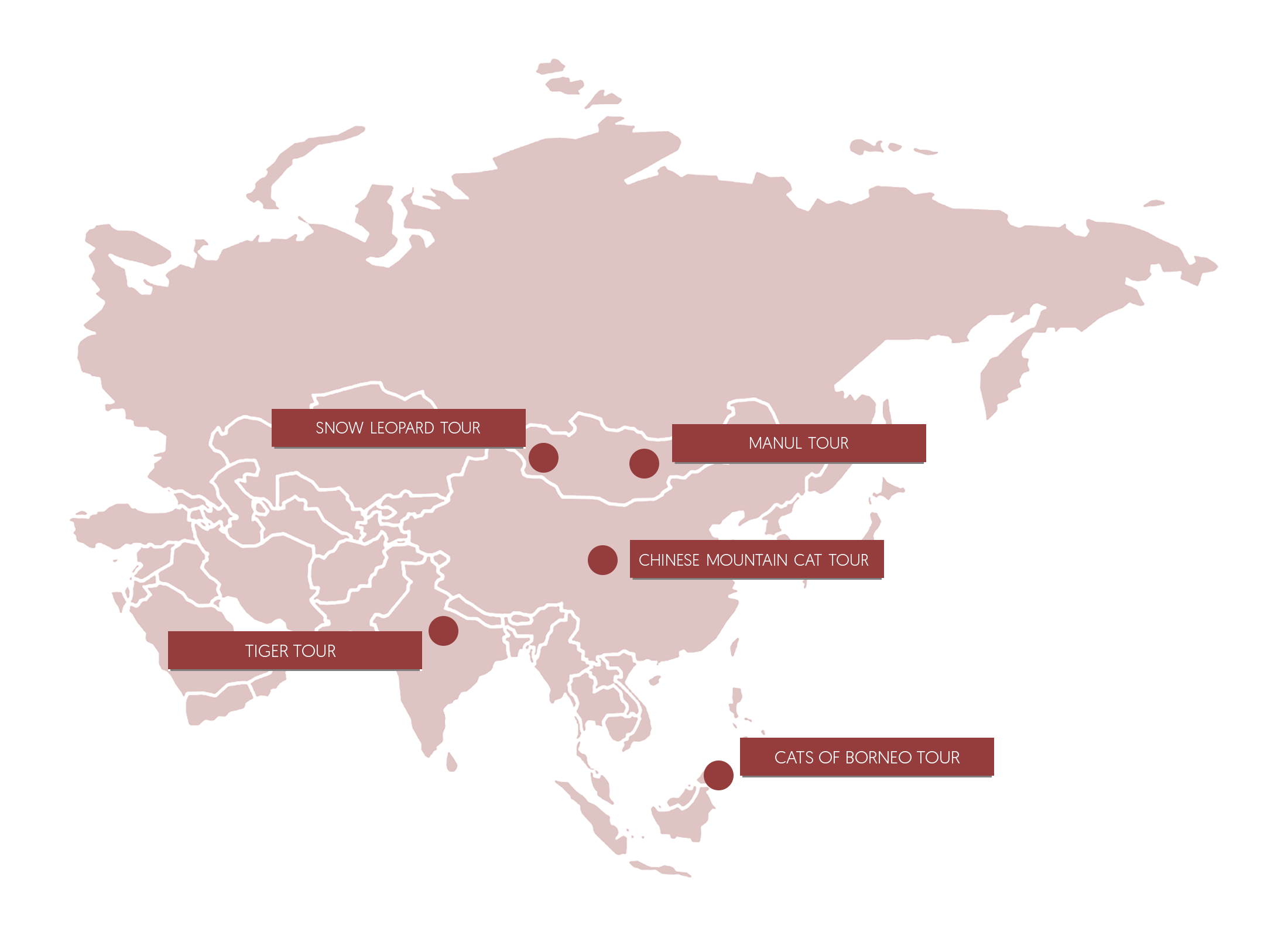 Asia Cat Expeditions