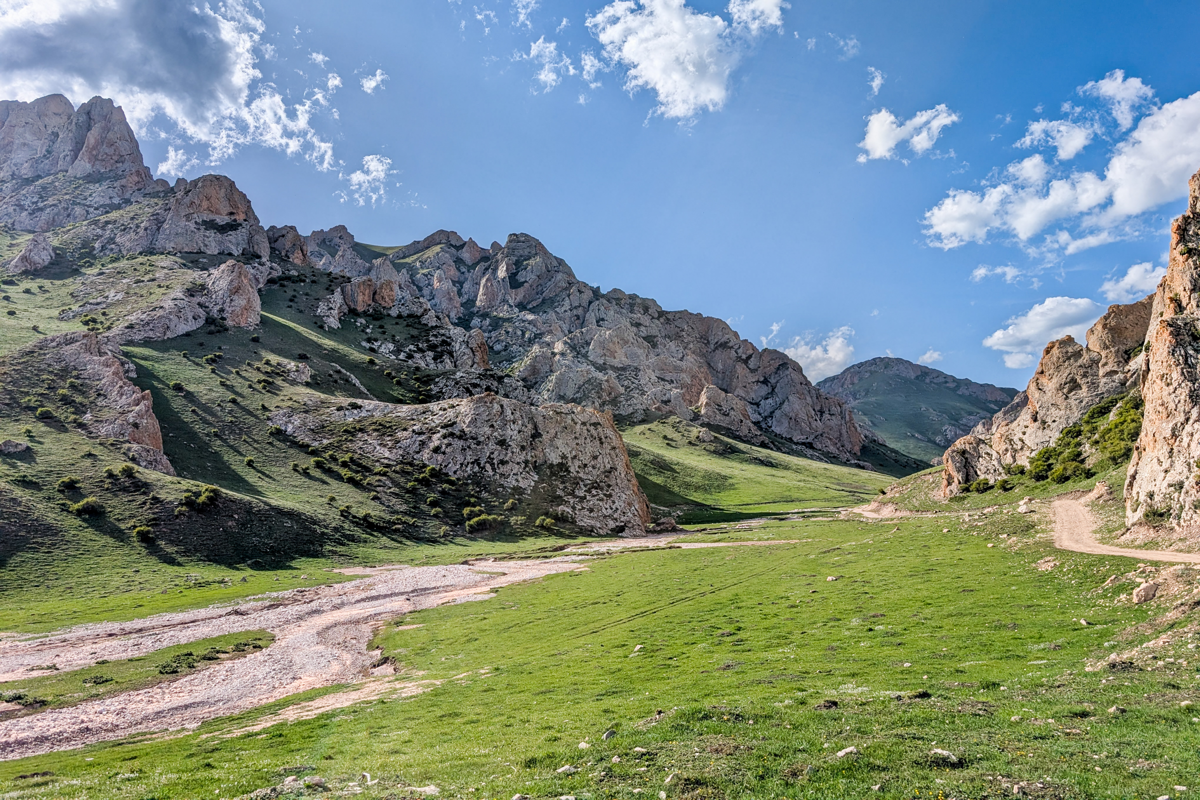 Alpine meadows like these, typically above 2,500 meters (8,200 feet) are perfect habitat for Chinese Mountain Cat, and areas we primarily target during out Chinese Mountain Cat photo tour.