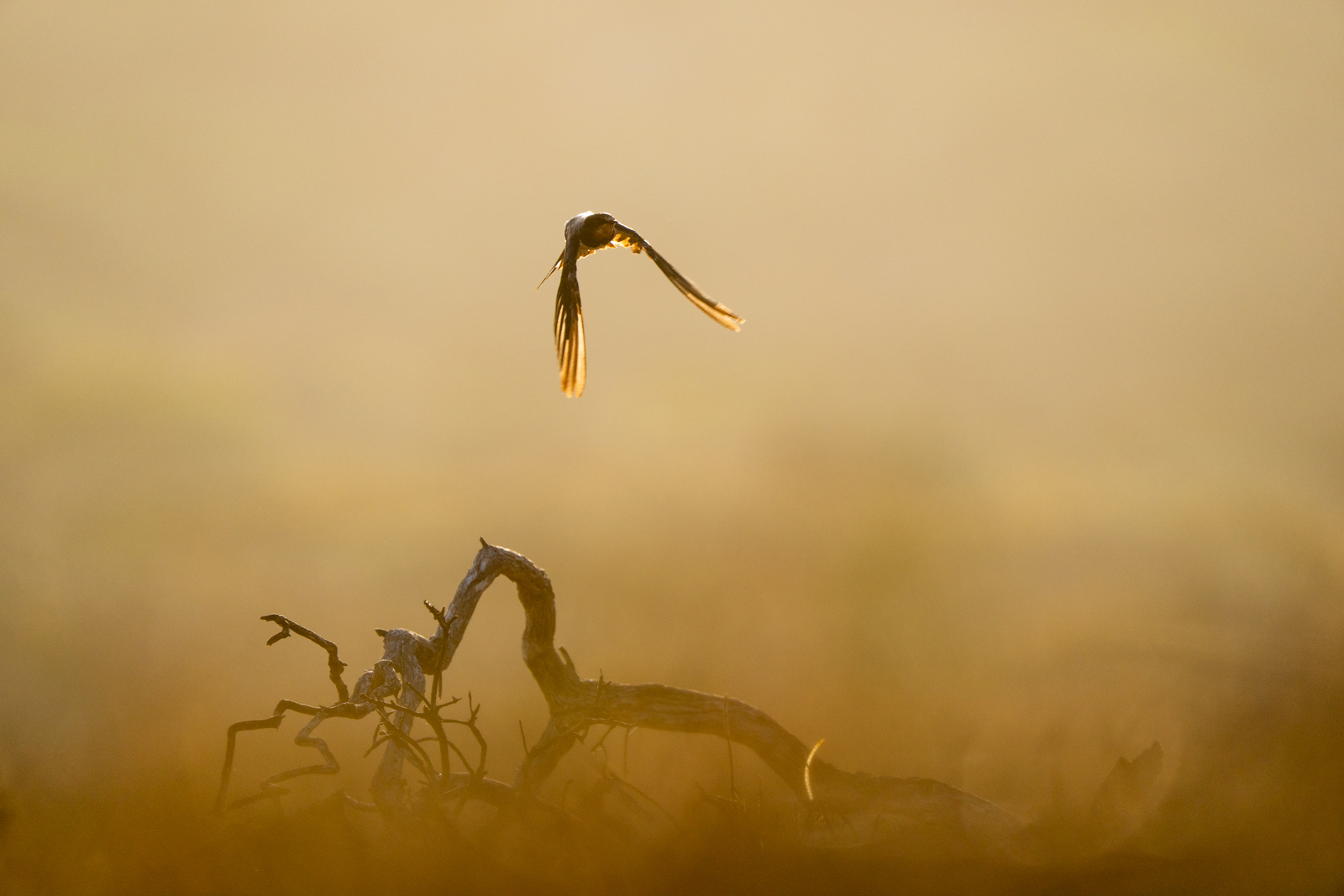 Flying into South Africa