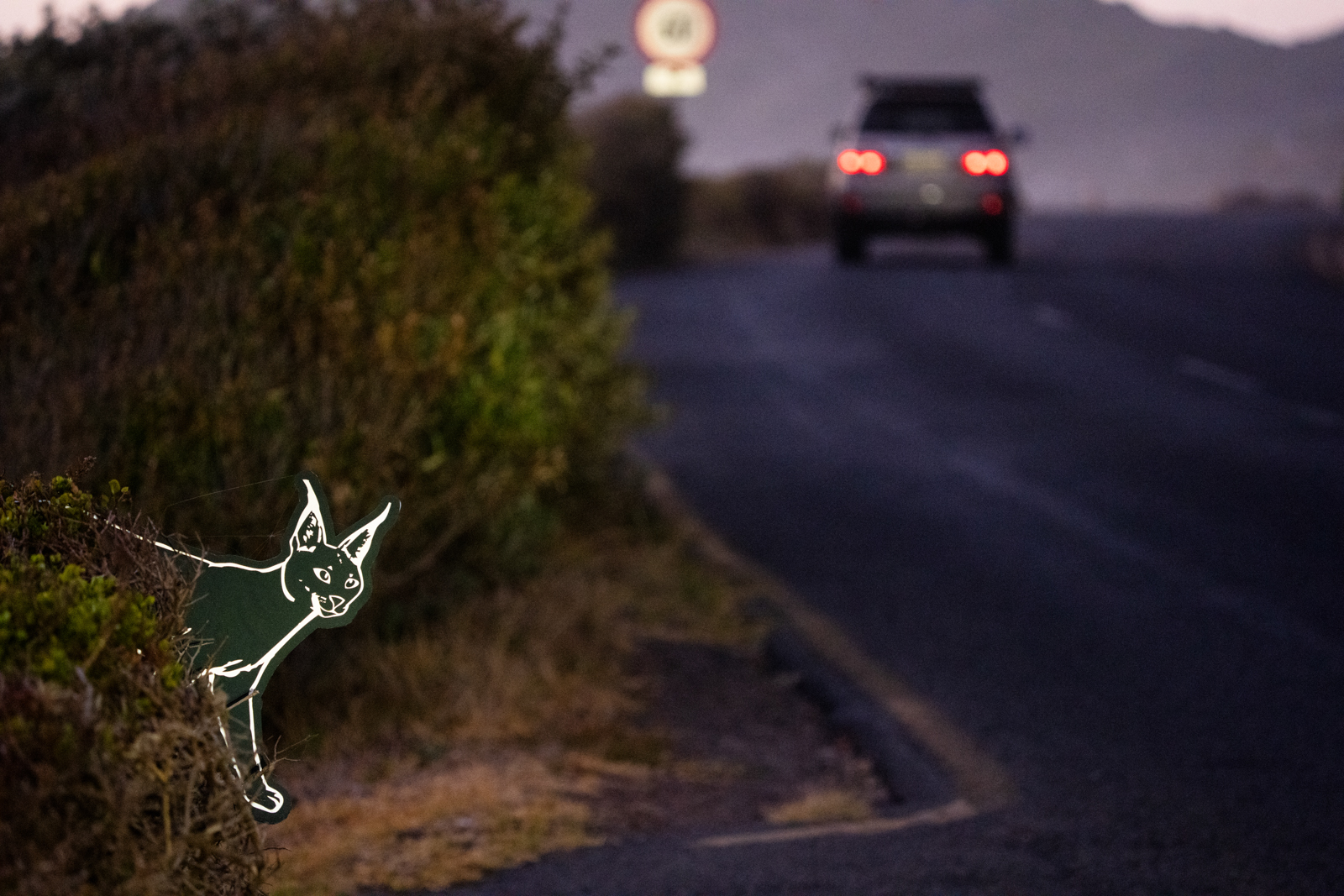 LEARN HOW CARACAL AND PEOPLE CAN COEXIST