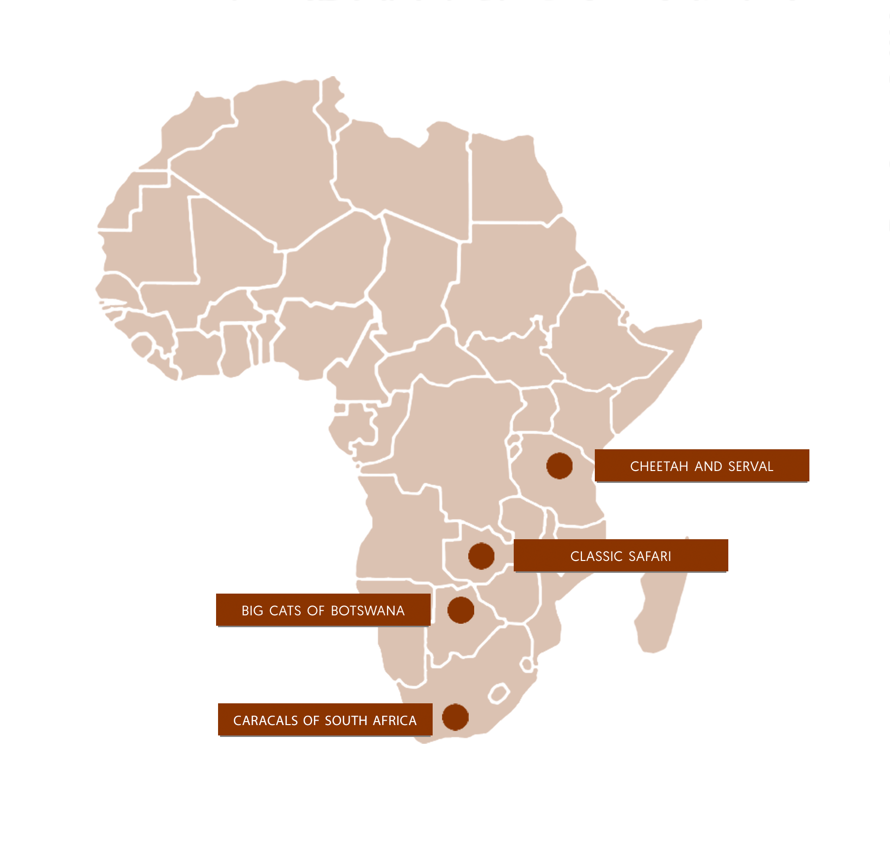 African Cat Epeditions