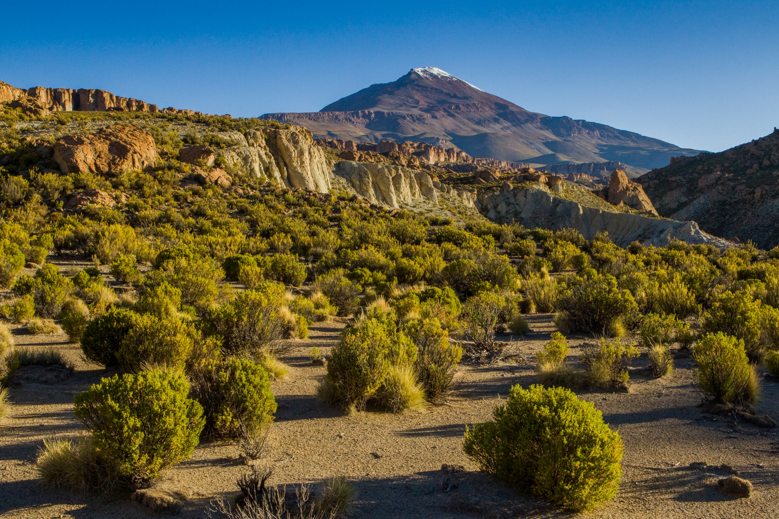 EXPLORE THE RUGGED ALTIPLANO OF THE HIGH ANDES
