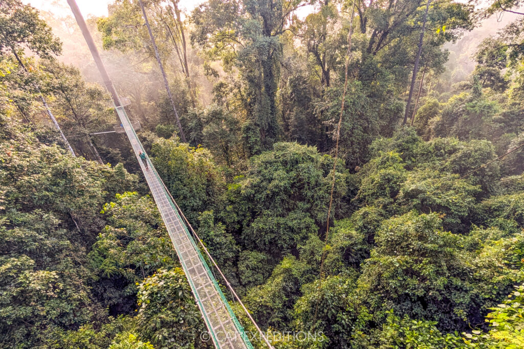 Rachel on canopy walkway in Danum Valley, Borneo, Malaysia. Taken during our Cats of Borneo photo tour in 2025