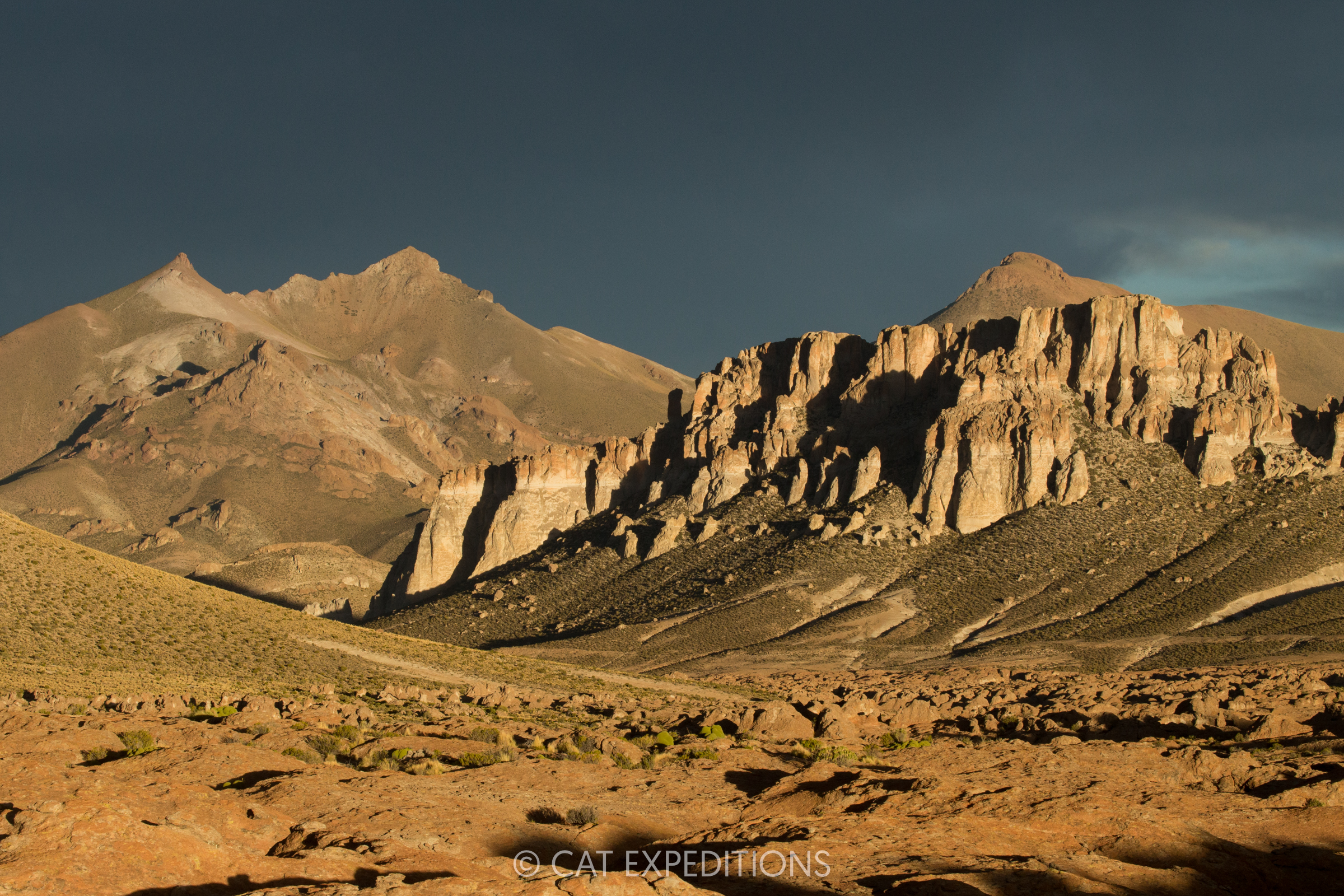 Peaks and rock formations in dry puna, showing perfect Andean Mountain Cat habitat, Andes, northwestern Argentina