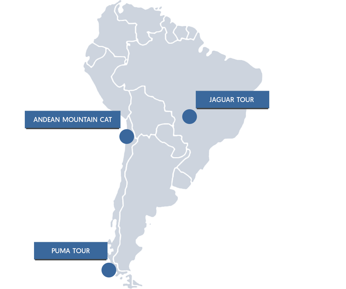 South American Cat Expeditions
